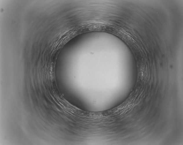 X0000058130964200510171332