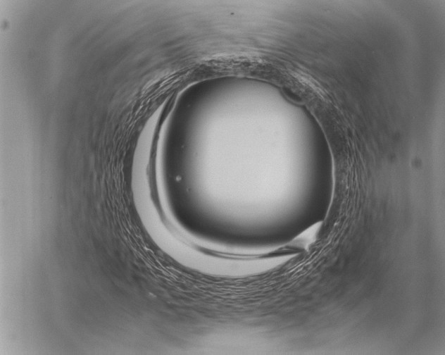 X0000058130965200510171332