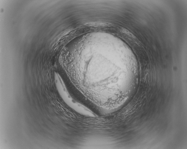 X0000058130966200510171332