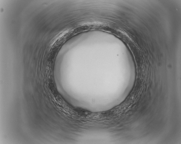 X0000058130967200510171332