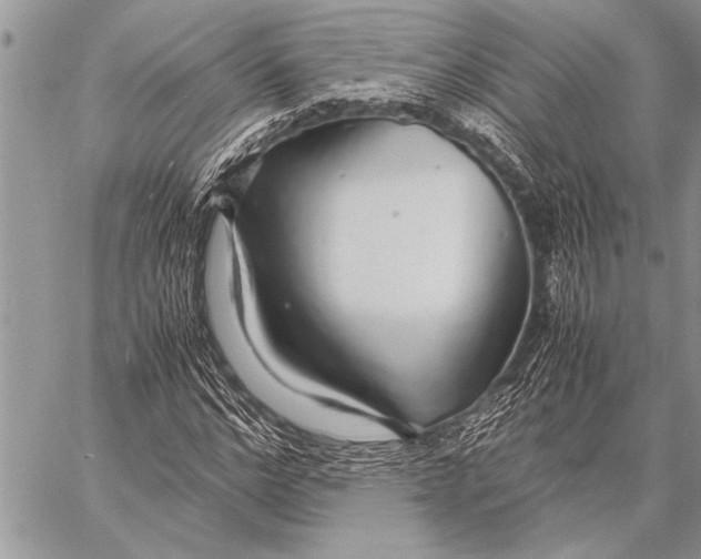 X0000058130968200510171332