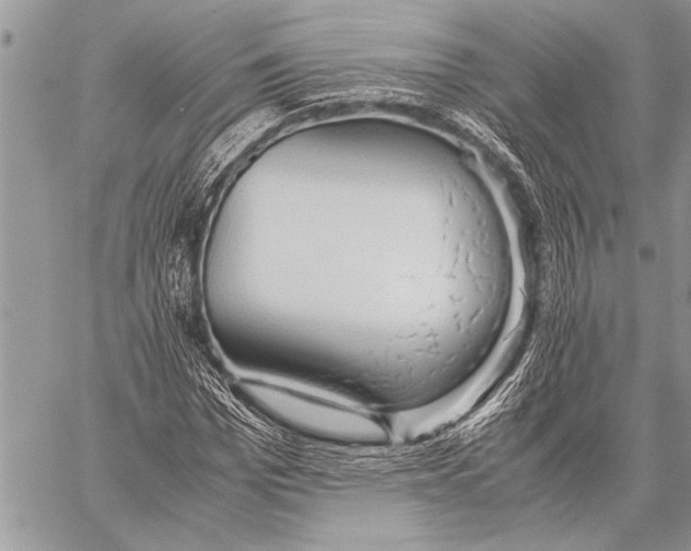 X0000058130969200510171332