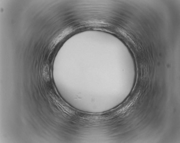 X0000058130970200510171332