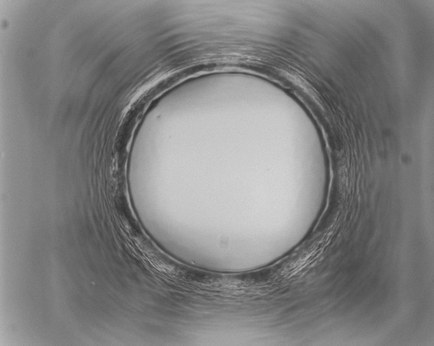 X0000058130971200510171332