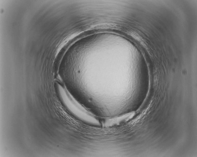 X0000058130973200510171332