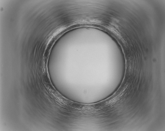 X0000058130974200510171332