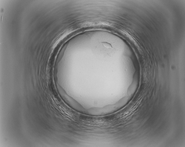 X0000058130975200510171332