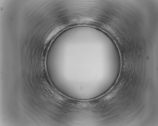 X0000058130978200510171332