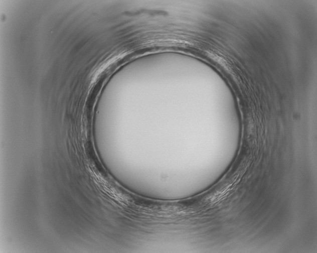 X0000058130979200510171332