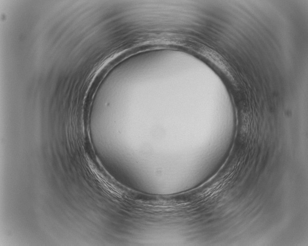 X0000058130980200510171332