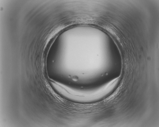 X0000058130981200510171332