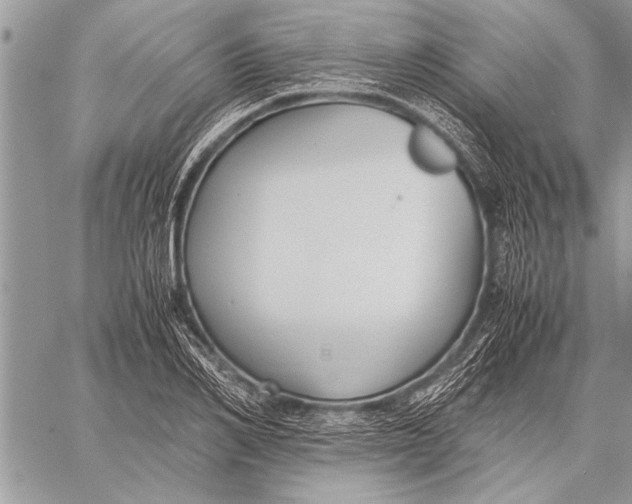 X0000058130982200510171332