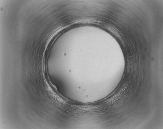 X0000058130984200510171332