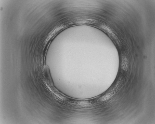 X0000058130986200510171332