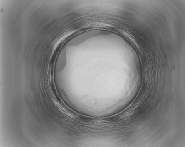 X0000058130987200510171332