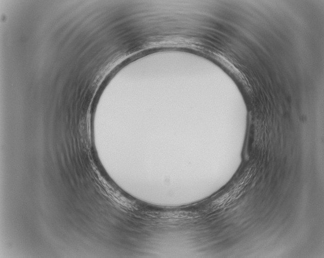 X0000058130988200510171332