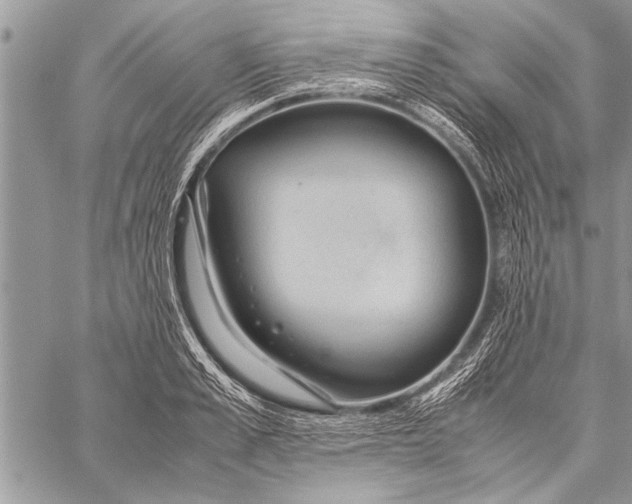 X0000058130989200510171332