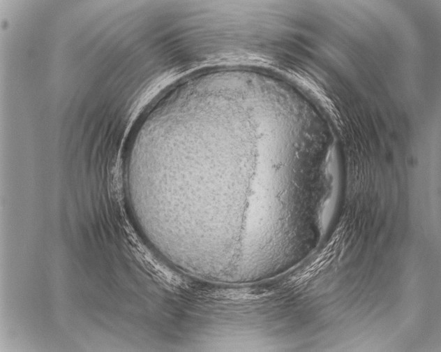 X0000058130990200510171332