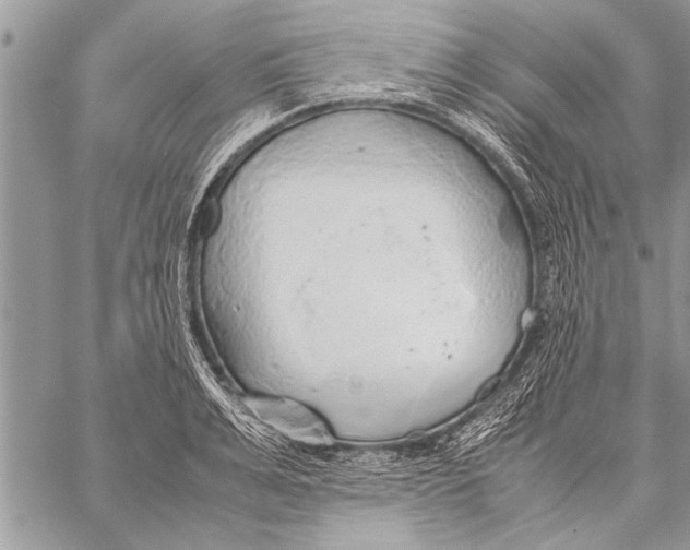 X0000058130991200510171332