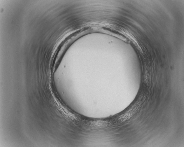 X0000058130992200510171332