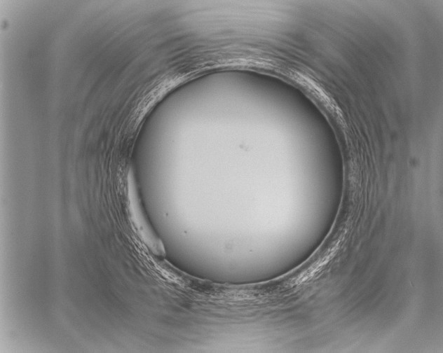 X0000058130993200510171332