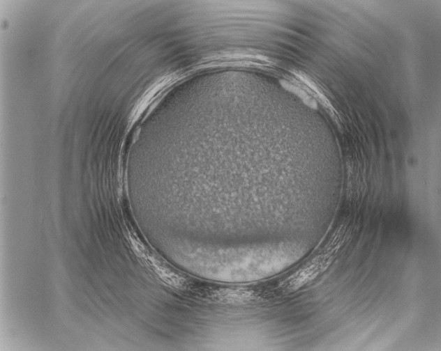 X0000058130994200510171331