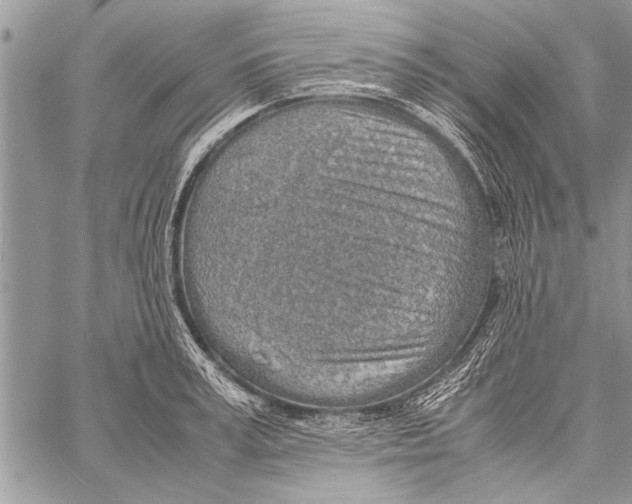 X0000058130995200510171331