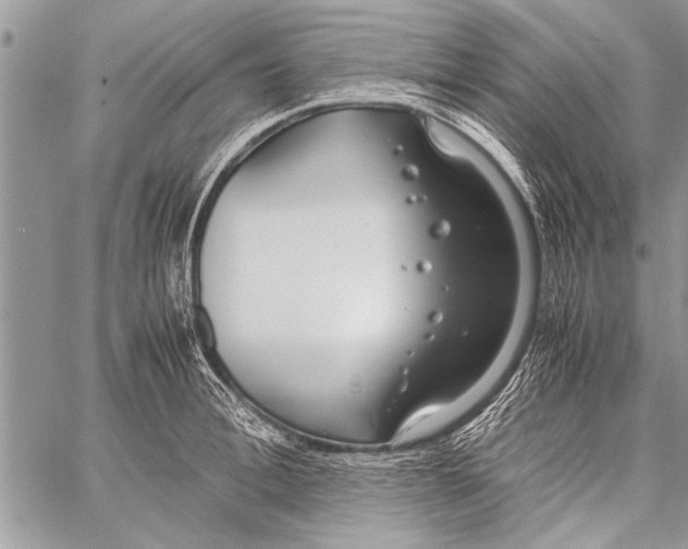 X0000058130996200510171331