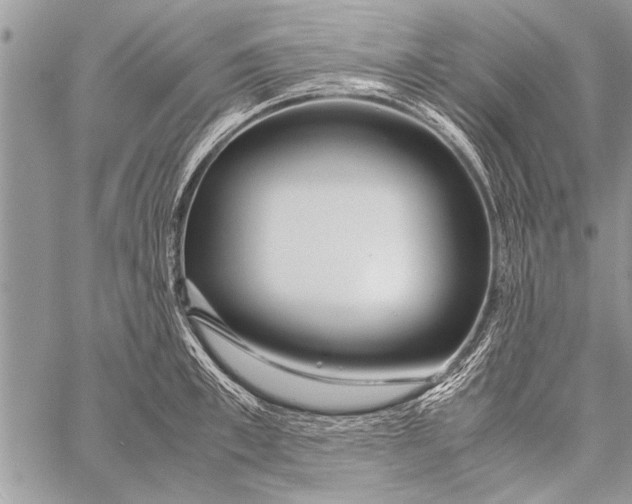 X0000058130997200510171331