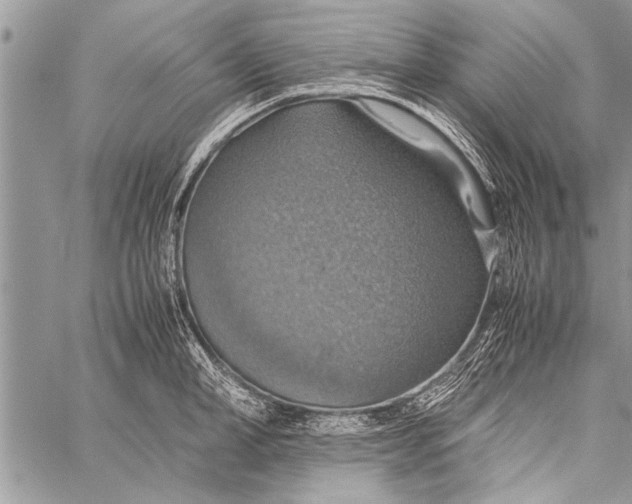 X0000058130998200510171331