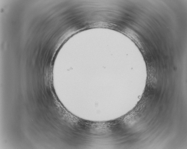 X0000058131000200510171331