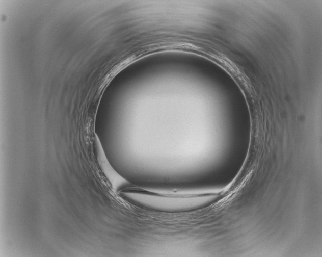 X0000058131001200510171331