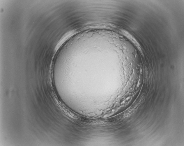 X0000058131002200510171331