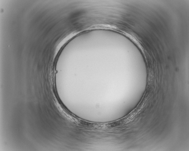 X0000058131003200510171331