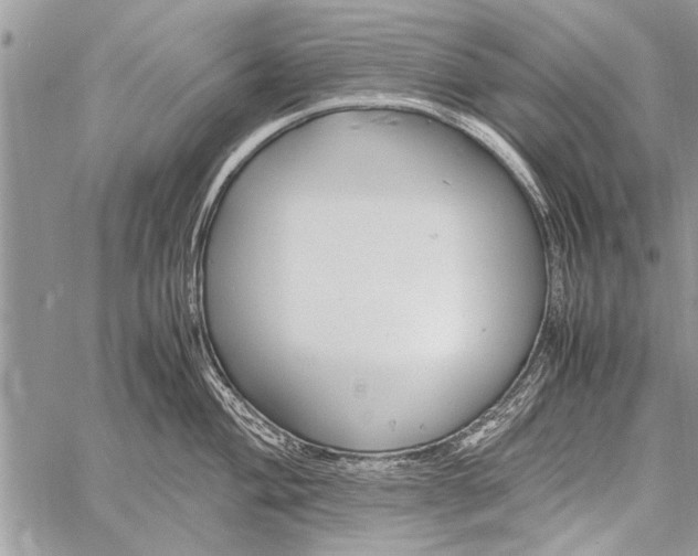 X0000058131004200510171331