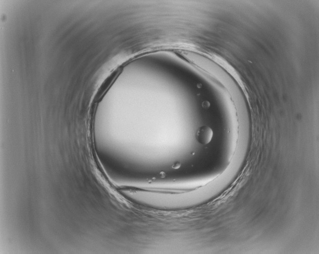 X0000058131005200510171331