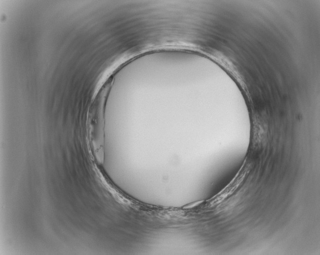 X0000058131006200510171331