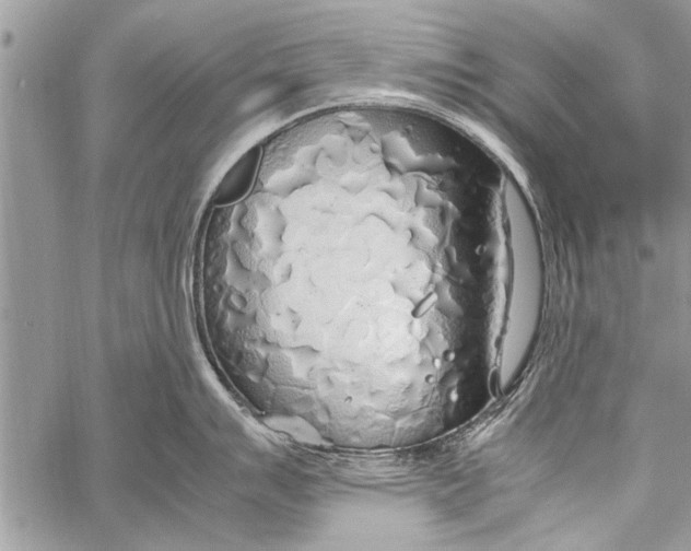 X0000058131007200510171331