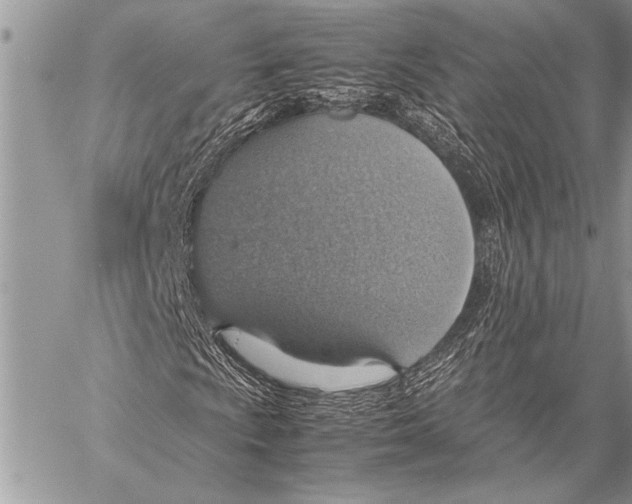 X0000058131009200510171330