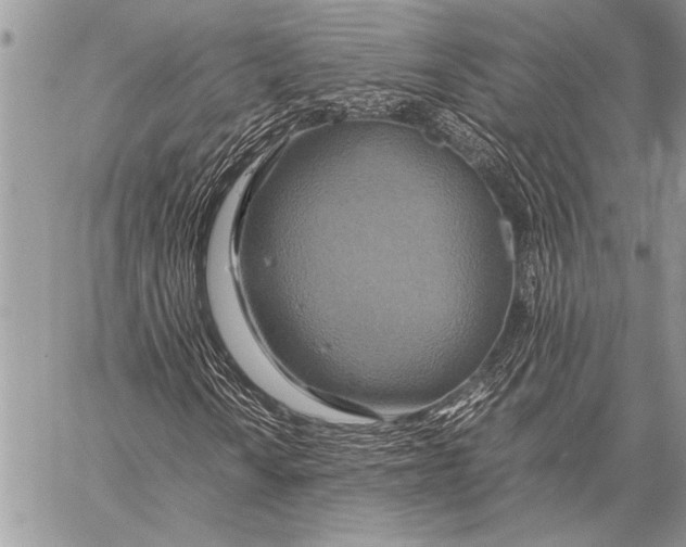 X0000058131010200510171330