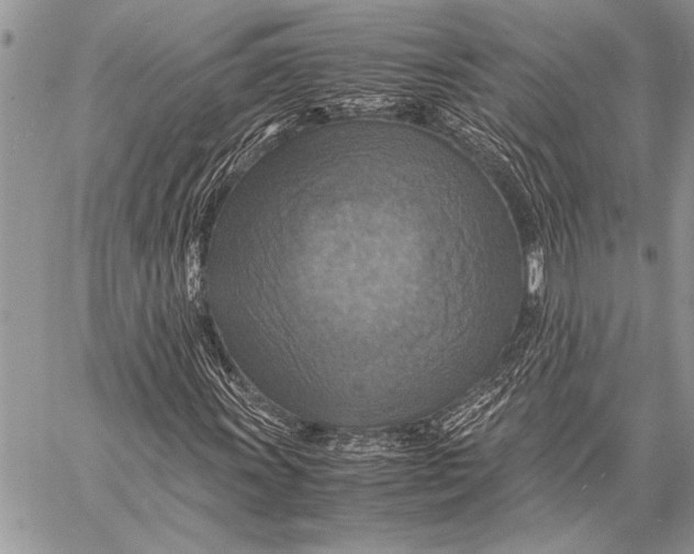 X0000058131011200510171330