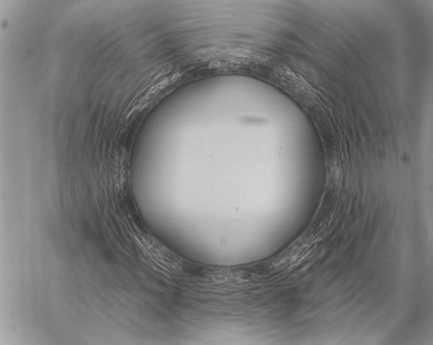 X0000058131012200510171330