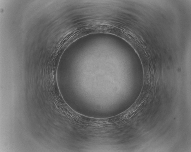 X0000058131013200510171330