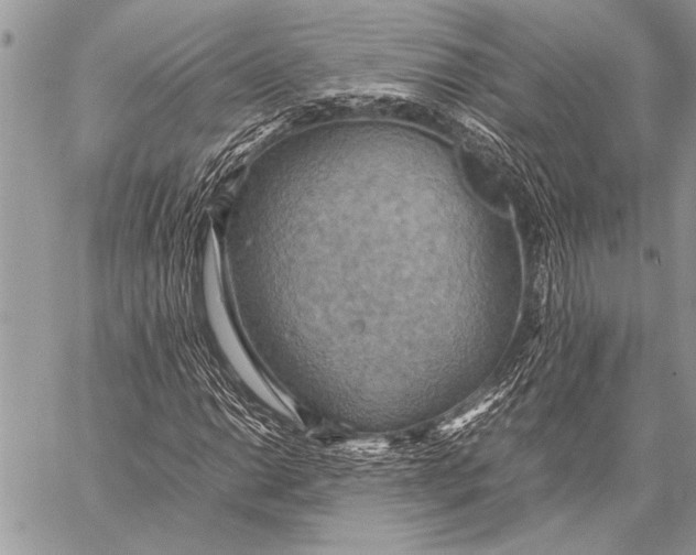 X0000058131014200510171330