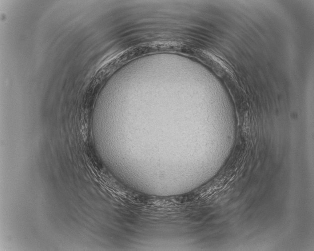 X0000058131015200510171330