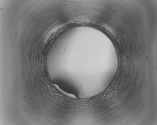 X0000058131016200510171330