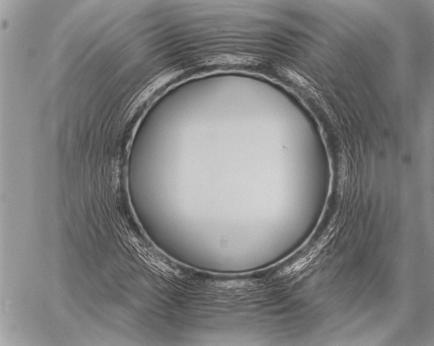 X0000058131017200510171330