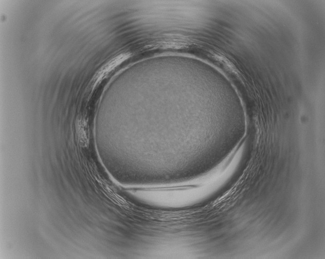 X0000058131018200510171331