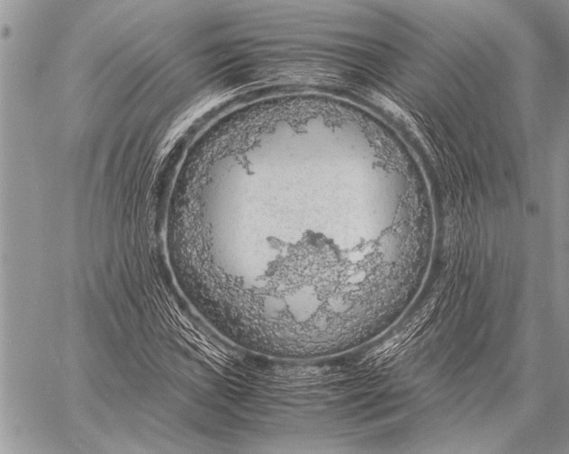 X0000058131019200510171331