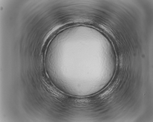 X0000058131021200510171331